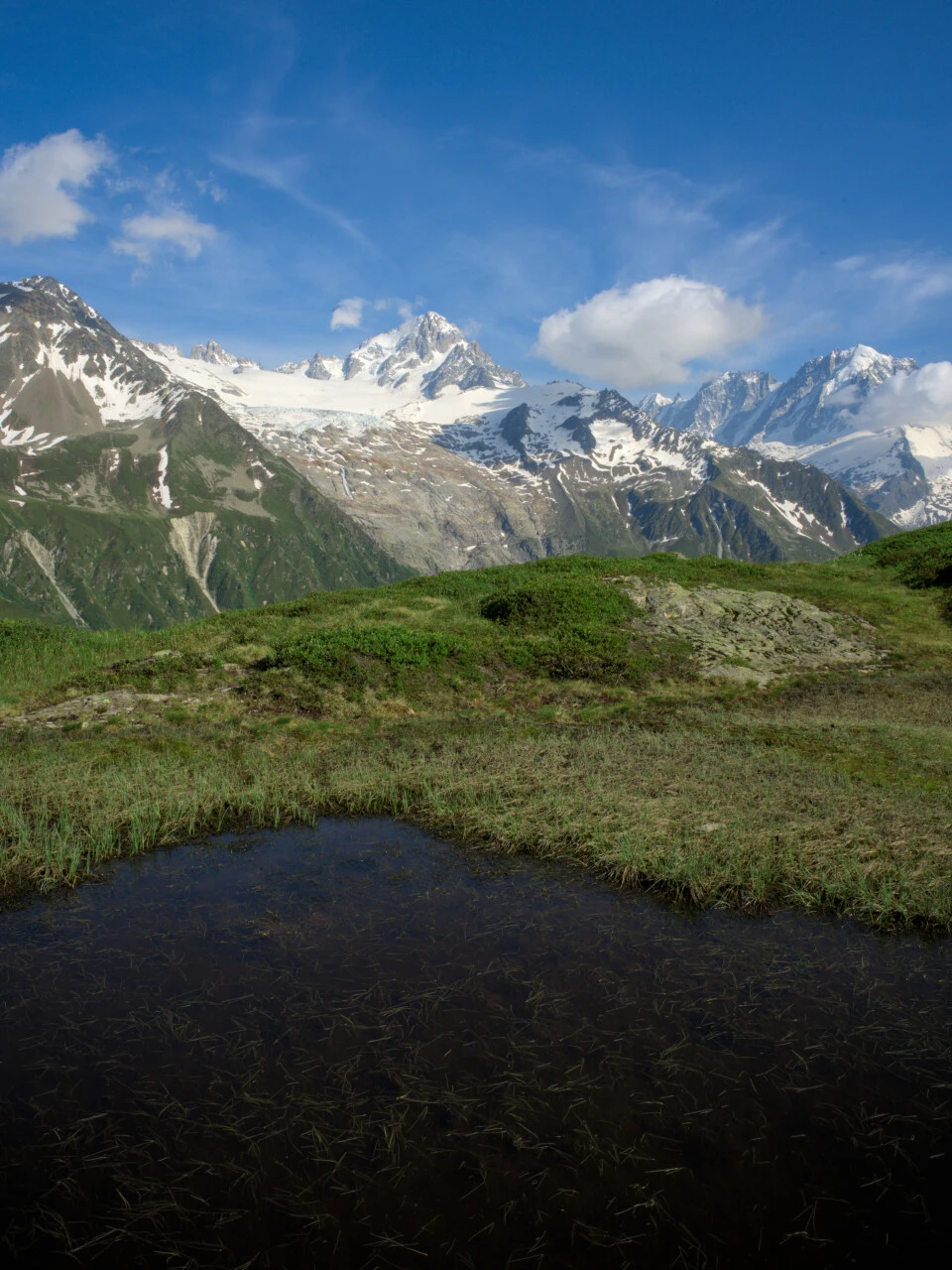 Alpine pond and the Aiguille du Chardonnet on the approach to the Col de Balme