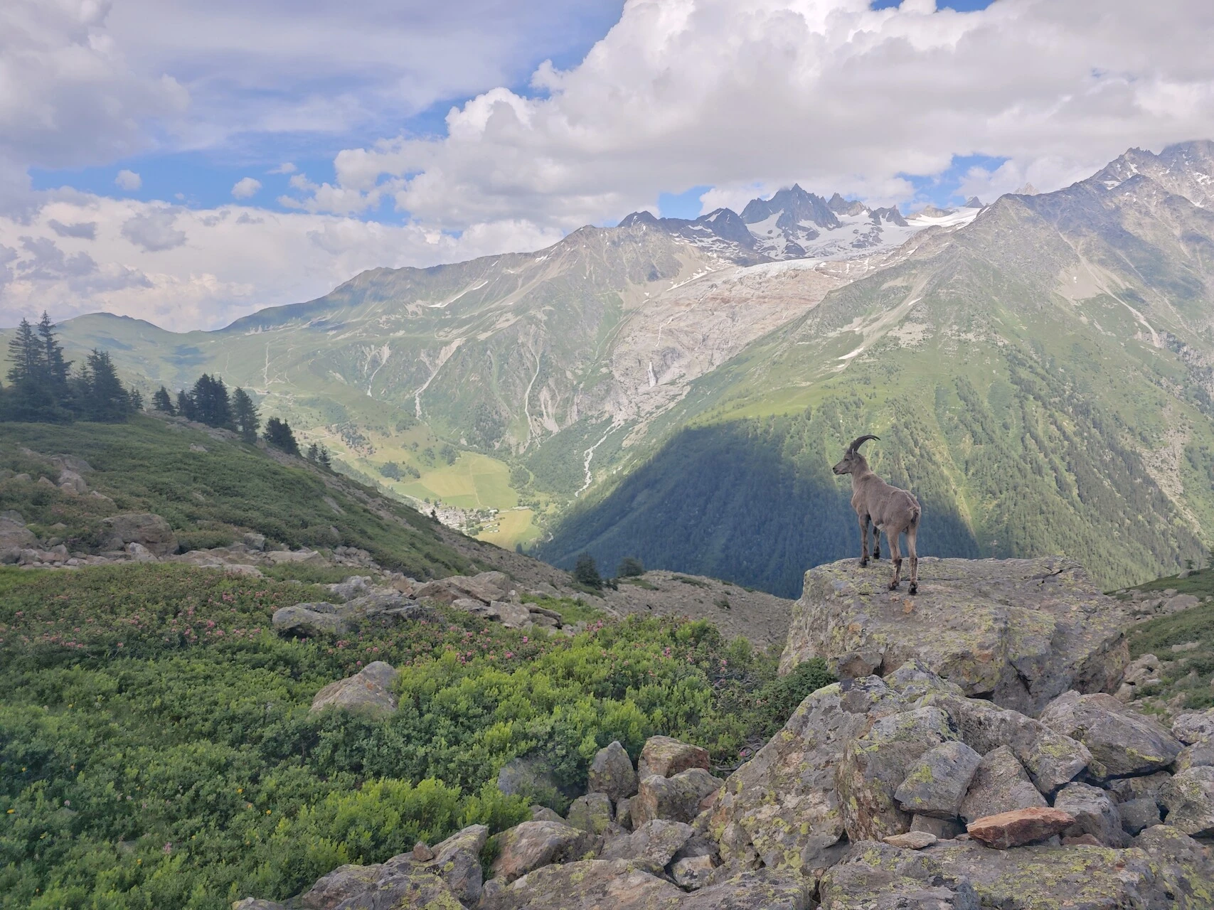 The herds often keep to the rocks on the balcony above the valley