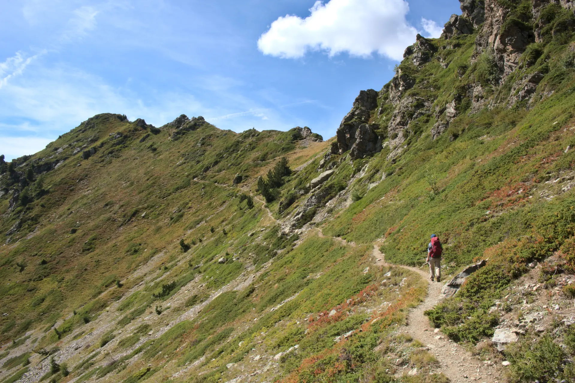 Trail in Southern Alps