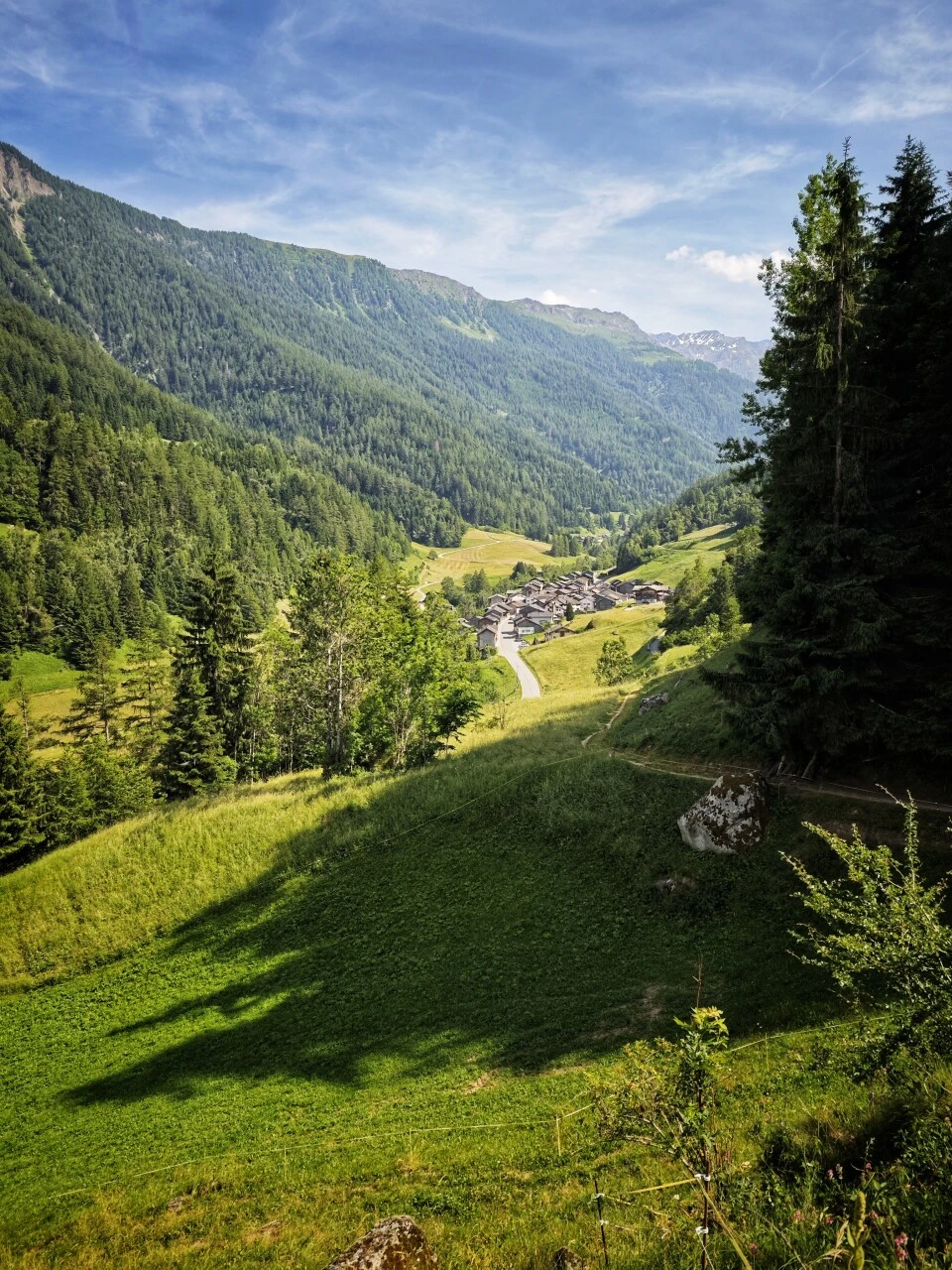 View over Champex village and its forested slopes