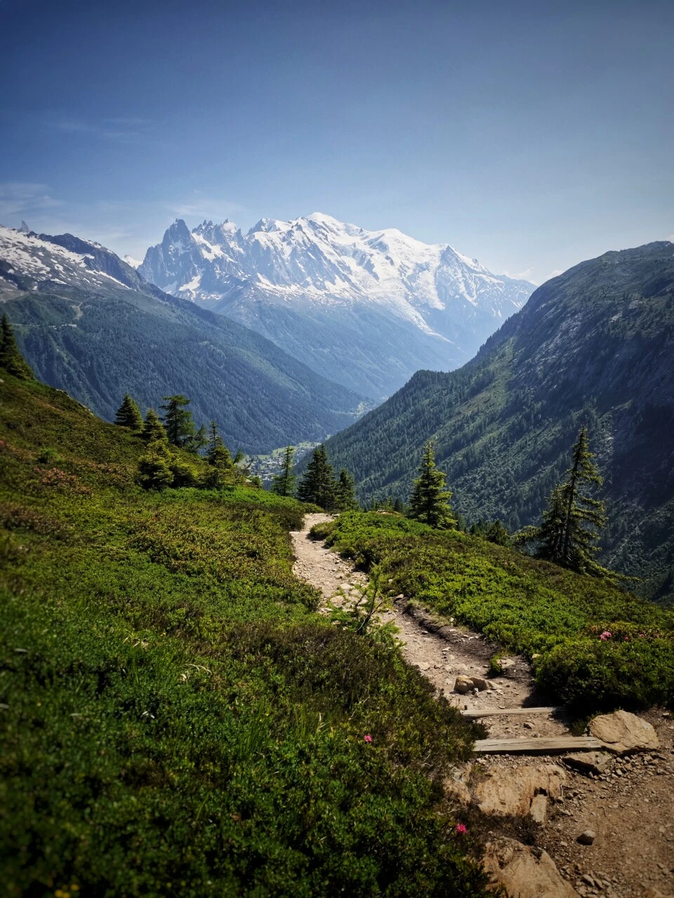Alpine meadow trail with Mont-Blanc in view, between the Col de Balme and Tre-le-Champ