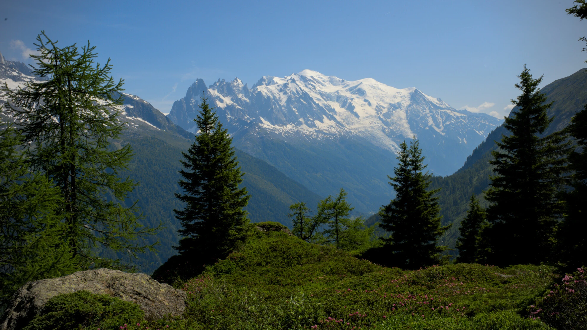 Alpine pasture on the Grand Balcon Sud with the Mont-Blanc massif beyond