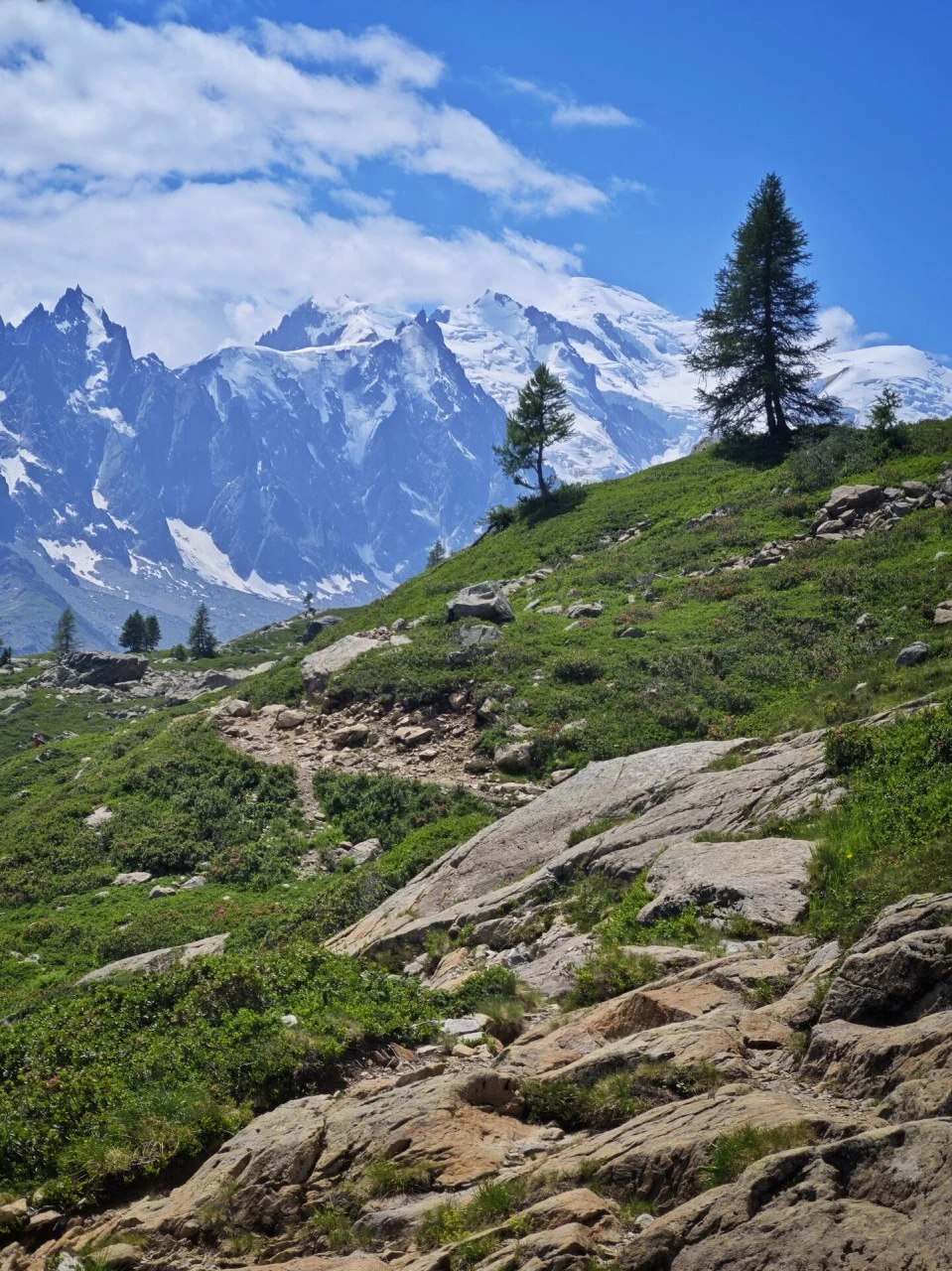 The path above the col des Montets, the Mont-Blanc massif opposite you the whole way up
