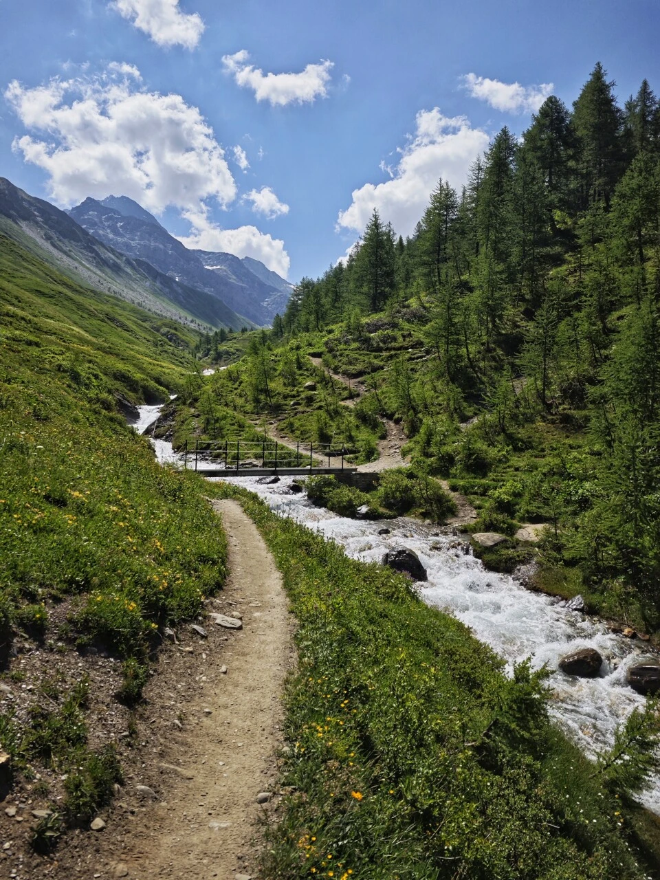 The trail alongside the stream on leaving Refuge Bonatti