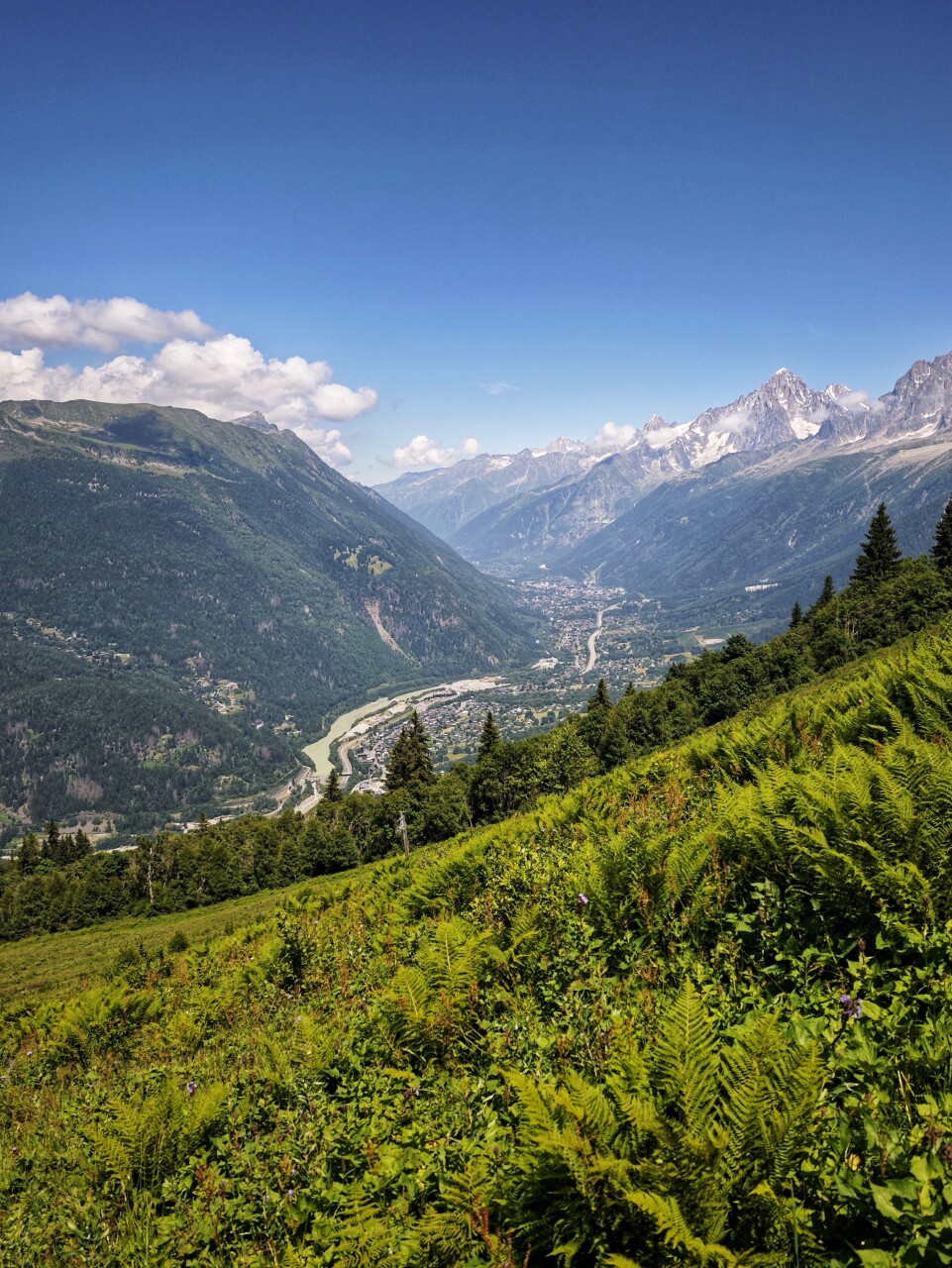 TMB Stage 1: Les Houches to Les Contamines, Col de Voza or Col du Tricot?